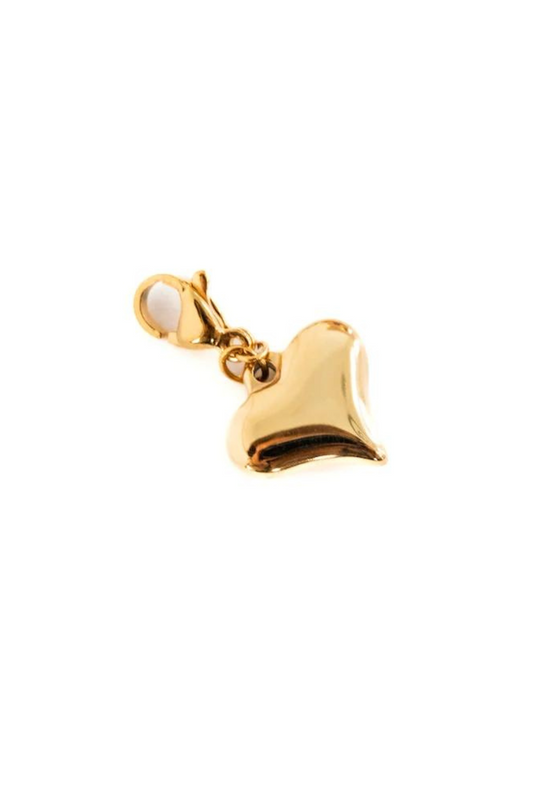 Chanelle Heart Charm