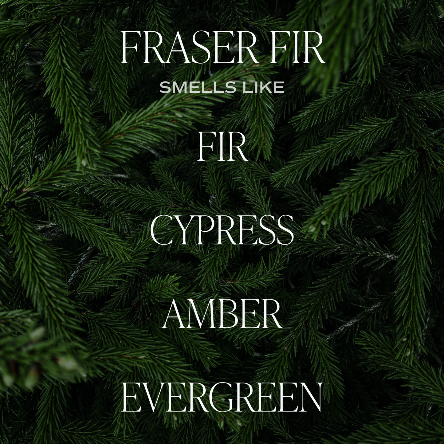 Fraser Fir 9 oz Soy Candle